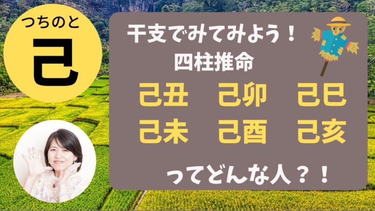 【四柱推命】干支でみる己丑、己卯、己巳、己未、己酉、己亥ってどんな人？！