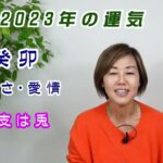 【占い】招運術・2023年はどんな年