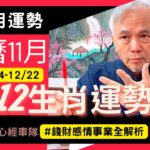 【流月運勢】2022農曆十一月十二生肖運勢(11/24~12/22)；紫微斗數，錢財感情事業全解析！流月運勢完整版請至會員區觀賞－顯君他們的心經車隊【CC字幕】