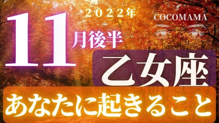 乙女座♍️ 【１１月後半あなたに起きること🌈】2022　ココママの個人鑑定級タロット占い🔮