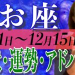 うお座さん12月1日から15日の運勢、アドバイス🍀*゜タロット占い