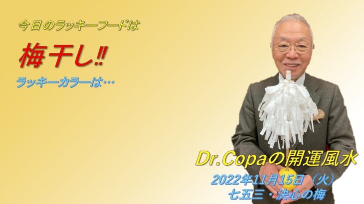 【Dr.Copaの開運風水】2022年11月15日（火）七五三・決心の梅