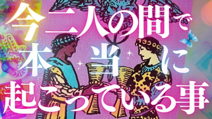 🦋恋愛タロット占い🌈今あなたとあの人の間で本当に起こっている事、バキッとチェック📸✨あの人からのメッセ付📱💕🔮PICK-A-CARD READING🌟Timeless(2022/11/9)
