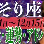 さそり座さん12月1日から15日の運勢、アドバイス🍀*゜タロット占い