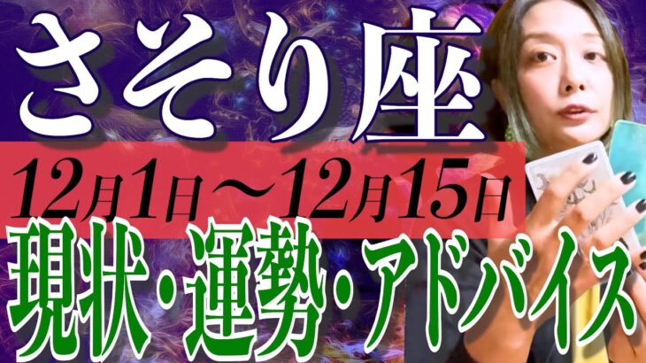 さそり座さん12月1日から15日の運勢、アドバイス🍀*゜タロット占い