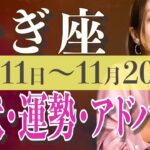 やぎ座さん11月11日から20日の運勢、アドバイス🍀*゜タロット占い