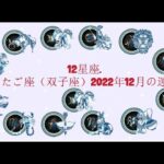 ふたご座（双子座）2022年12月の運勢. – 12星座.
