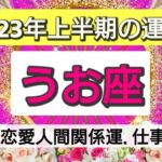 【2023年上半期の運勢】魚座さんに起こること💖星読み＆タロット＆オラクル🌟カードリーディング