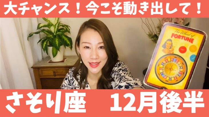 さそり座♏️12月後半🔮大チャンス到来！もう迷わず今こそ動き出して！！