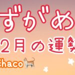 12月 水瓶座 タロット　最強運キテル！来年飛躍のための最後の調整