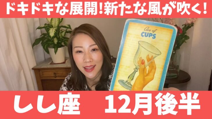 しし座♌️12月後半🔮ドキドキな展開！！愛が溢れる新たな風が吹くよ！！