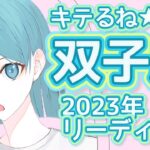 【ふたご座】２０２３年 年間リーディング キテるね★双子座 タロット オラクルカード 占い