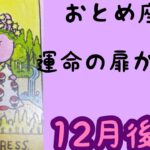 【12月後半の運勢】乙女座　運命の扉が開く！超細密✨怖いほど当たるかも知れない😇#星座別#タロットリーディング#乙女座