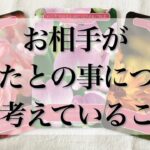 【恋愛】お相手があなたとの事について今考えている事🦋💕【忖度なしタロットオラクルルノルマンリーディング】🍀🐢