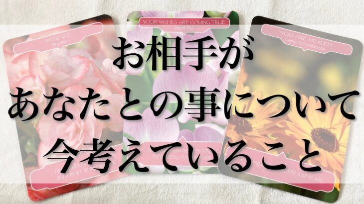 【恋愛】お相手があなたとの事について今考えている事🦋💕【忖度なしタロットオラクルルノルマンリーディング】🍀🐢