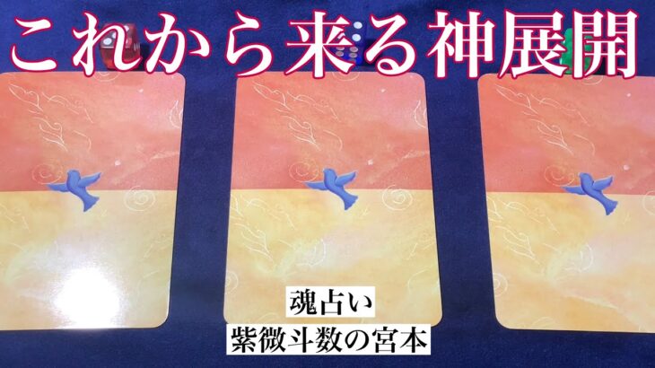 【魂占い】これから来る神展開を占いました！