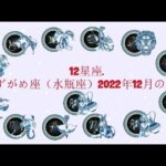 みずがめ座（水瓶座）2022年12月の運勢. –  12星座.