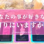 幸せすぎ注意🥺💖【恋愛💓】あなたの事が好きな人…周りにいますか？【タロット🔮オラクルカード】片思い・復縁・出会い・疎遠・音信不通・片想い・ご縁・恋愛運・恋愛占い