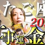 ふたご座さん2023年上半期の仕事運・金運🍀*゜