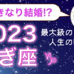 【いきなり結婚⁉️】やぎ座の2023年恋愛運・仕事運【運勢占い】