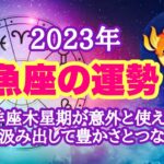 2023年✨魚座✨才能を開花して豊かさの泉とつながるには