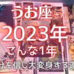 2023年うお座さん♓️の運勢✨年間・上半期・下半期・仕事運・金運・対人運・愛情面徹底分析！