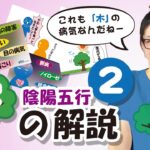 陰陽五行・四柱推命【木の解説】NO.2～木で分かる性質・健康・対処法～