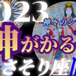 【蠍座♏2023年運勢】全ての苦労が報われる！！肩の力が抜けてホッとするとヒラメキが入りまくります　✡️神がかる事✡️　❨オラクル、タロット占い❩