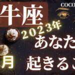 牡牛座♉️ 【🎍新年１月あなたに起きること🎍2023年】ココママの個人鑑定級タロット占い🔮ラッキアイテム❤