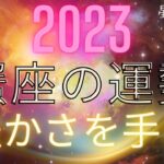 2023年　蟹座の運勢　豊かさを手に