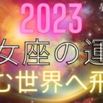 2023年　乙女座の運勢　望む世界へ飛躍