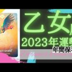 《乙女座2023年年間の運勢》チャンス到来💝✨️大幸運な１年💐✨️言霊を大切に流れのままに突き進んで下さい👑✨️☆年間保存版☆