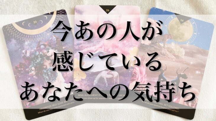 【恋愛】今あの人が感じているあなたへの気持ち🦋💕【忖度なしタロットオラクルルノルマンリーディング】🍀🐢