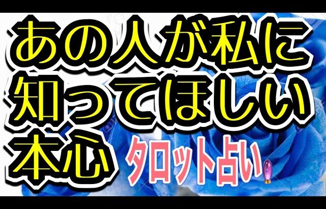 あの人が私に知ってほしい本心💖🌹タロット占い🔮