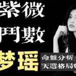 紫微斗数丨奚梦瑶命盘丨嫁入豪门的天命格局丨面相改运思路丨预测与何猷君婚姻走向#紫微斗數 #奚夢瑤 #何猷君 #紫微斗數明星