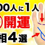 【手相】有ったら珍しい開運手相４選【幸運手相】