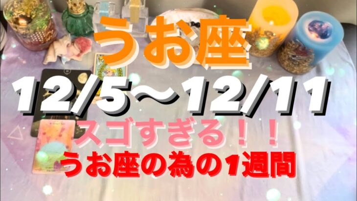 うお座✨12/5～11🌈もうほんとに凄い！！魚座のための1週間✨#tarot #tarotreading #タロット恋愛 #タロット占い魚座 #月星座