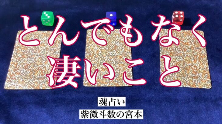 【魂占い】とんでもなく凄いことを占いました！