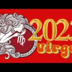 乙女座♍2023年運勢✨タロット占い