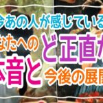 【報われます‼️】今あの人が感じているあなたへのど正直な本音と今後の展開💞