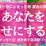 【緊急連絡】ズバり！あなたを幸せにする人はこの人です！？ 今、運命の扉が開く 興奮のシンクロとニヤニヤの結果 お相手の特徴 出会い 心踊る 神展開 タロット＆オラクル 魂を癒す 高波動リーディング