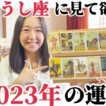 大劇変の年【2023年おうし座の運勢】12年に一度の転機が訪れます。やばいです！幸運期の始まり、本当になりたい自分へ。