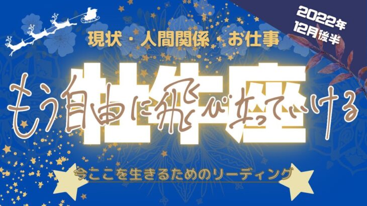 【牡牛座さん】12月後半♉️よかった😭自由になっていく🕊思ってた以上の良い兆し見えてくる✨新たな冒険の始まりなのかも