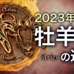 【タロット占い】2023年『牡羊座』の運勢