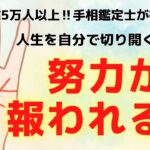 《有料級！徹底解説》人生を自分で切り開く！努力が報われる人の手相は！？【手相鑑定】～質問返し～