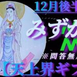 【水瓶座♒12月後半運勢】天上界からのギフトを頂戴します！！問答無用の宝でございます　✡️4択で📬付き✡️　❨タロット占い❩