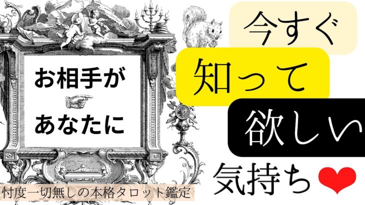 【お相手様にほっこり🥰️】今すぐ知って欲しい気持ち【有料鑑定級🎖】忖度一切無し、タロット