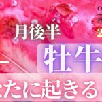 牡牛座♉️ 【１月後半あなたに起きること】２０２３　ココママの個人鑑定級タロット占い🔮