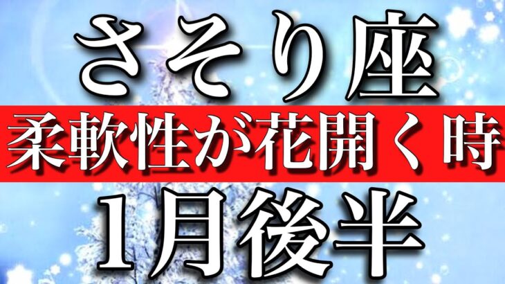 さそり座♏︎1月後半　柔軟性が花開く時　Scorpio✴︎January