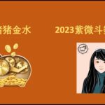 ✨安妮姐姐年运专题✨2023紫微斗数年运之紫微独坐在子